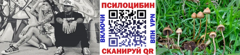 Псилоцибиновые грибы прущие грибы  kraken ССЫЛКА  Сызрань 